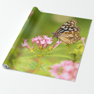Papier Cadeau papillon