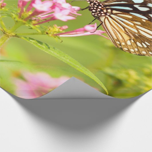 Papier Cadeau papillon (Coin)