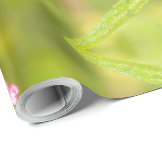 Papier Cadeau papillon (Coin rond)