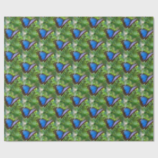 Papier Cadeau Papillon bleu (Plat)