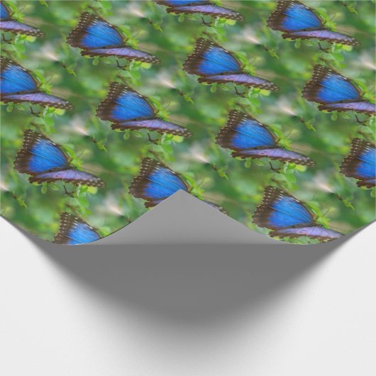 Papier Cadeau Papillon bleu (Coin)