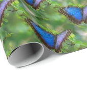 Papier Cadeau Papillon bleu (Coin rond)