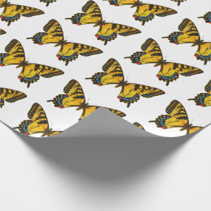 Papier Cadeau Papillon coloré et élégant