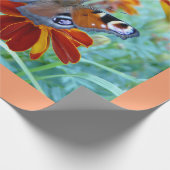 Papier Cadeau Papillon Dans Jardin Coloré (Coin)