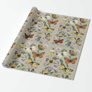 Papier Cadeau Papillon de nuit vintage 1842 Art botanique floral