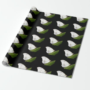 Papier Cadeau Papillon Morpho blanc sur feuille
