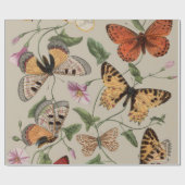 Papier Cadeau Papillon Moth Nature Collection Dessin (Plat)