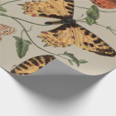 Papier Cadeau Papillon Moth Nature Collection Dessin (Coin)