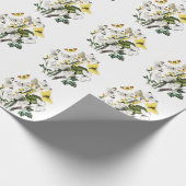 Papier Cadeau Papillon papillon vintage Ancienne illustration (Coin)