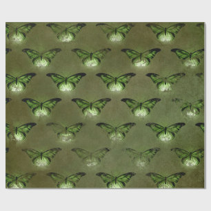 Papier Cadeau Papillon Vintage Lueur Verte