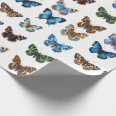 Papier Cadeau Papillons (Coin)