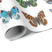 Papier Cadeau Papillons (Coin rond)