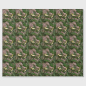Papier Cadeau Papillons à queue de tigre sur Joe Pye Weed (Plat)