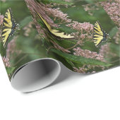 Papier Cadeau Papillons à queue de tigre sur Joe Pye Weed (Coin rond)
