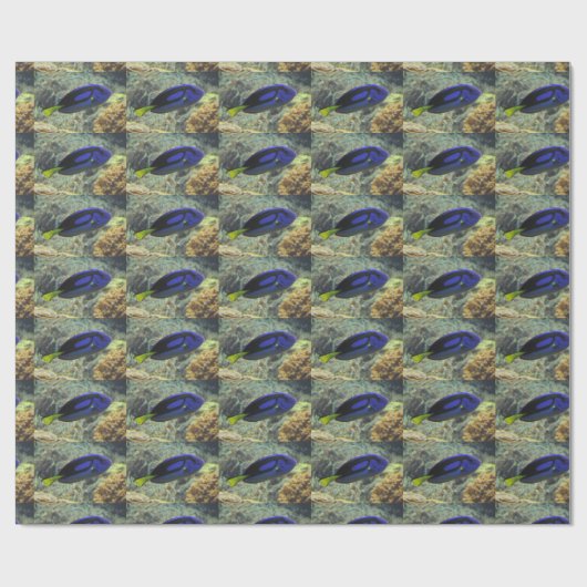 Papier Cadeau Paracanthurus hepatus (Plat)