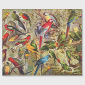 Papier Cadeau Parrots Vintages classiques (Plat)