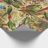 Papier Cadeau Parrots Vintages classiques (Coin)