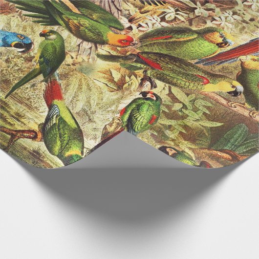 Papier Cadeau Parrots Vintages classiques (Coin)