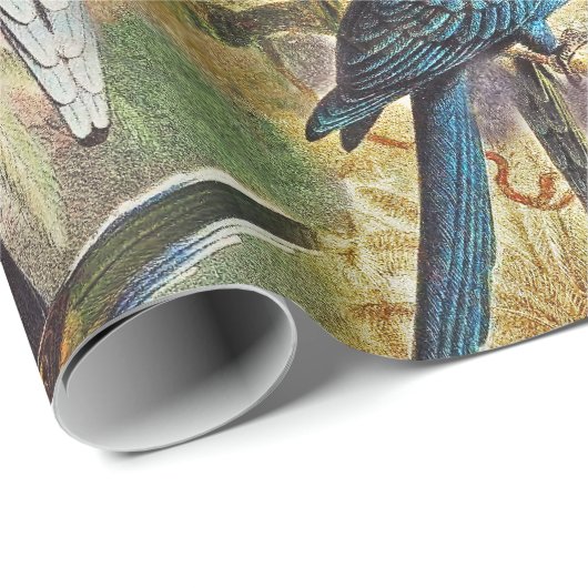 Papier Cadeau Parrots Vintages classiques (Coin rond)