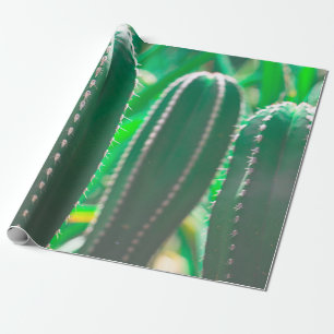 Papier Cadeau Pastel Green cactus plante pastel feuille