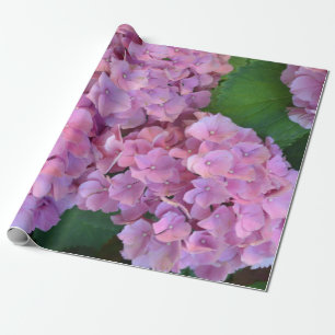 Papier Cadeau Pastel rose Hortensia hydrangea floraison