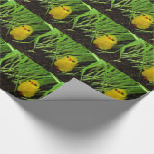 Papier Cadeau pâté (Coin)
