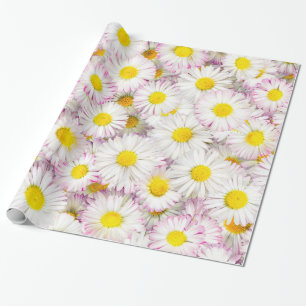 Papier Cadeau Patters Pink Purple Daisy Flower