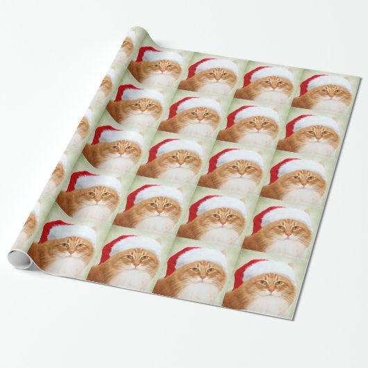 Papier Cadeau Pattes de Père Noël (Déroulé)