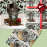 Papier Cadeau Patton's Christmas Playtime - Cat Christmas<br><div class="desc">Patton est un petit chaton secouru magnifique qui est un modèle merveilleux! Nous nous sommes amusés à poser pour des photos ce week-end - assurez-vous de vérifier pour de nombreux produits avec Patton et son frère Buffington</div>