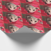 Papier Cadeau paulee (Coin)