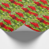 Papier Cadeau pavot de corb (Coin)