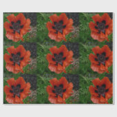 Papier Cadeau pavot d'Orient (Plat)