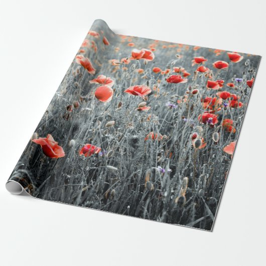 Papier Cadeau Pavot fleur sauvage (Déroulé)