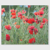 Papier Cadeau Pavot sauvage (Plat)