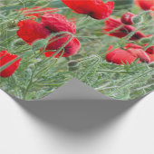 Papier Cadeau Pavot sauvage (Coin)