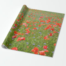 Pavots et bleuets d'été