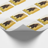 Papier Cadeau Pays de l'ours (Coin)