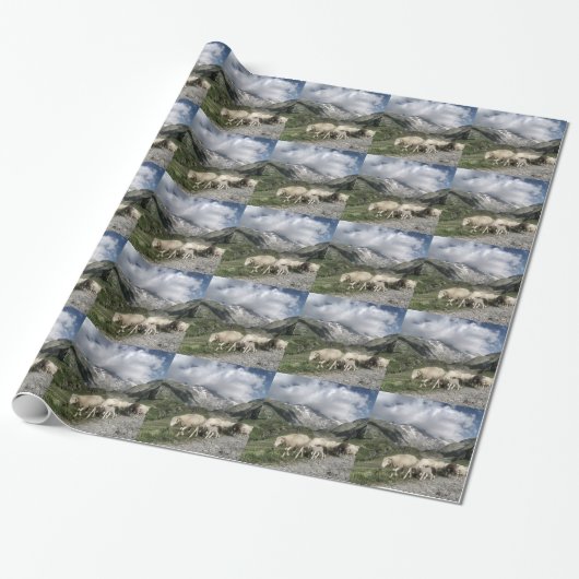 Papier Cadeau paysage pyrénéen (Déroulé)
