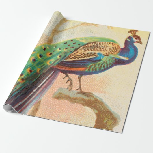 Papier Cadeau Peacock vintage sur une branche (Déroulé)