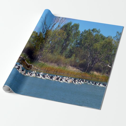 Papier Cadeau "Pêcheurs de River Murray : un rassemblement pélic (Déroulé)