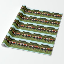 Peignez le papier d'emballage de chevaux