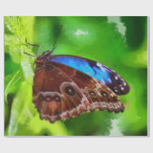 Papier Cadeau Peinture à papillon (Plat)