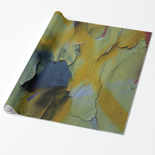 Papier Cadeau Peinture d'épluchage (Déroulé)