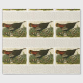 Papier Cadeau Peinture d'oiseaux sauvages de Turquie Audubon (Plat)