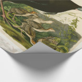 Papier Cadeau Peinture d'oiseaux sauvages de Turquie Audubon (Coin)