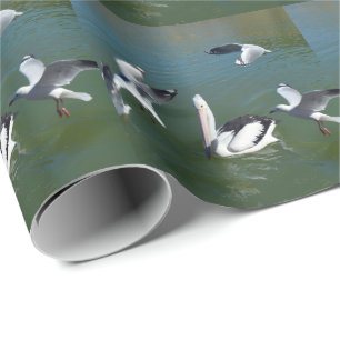 Papier Cadeau Pélican Et Les Crashers De Portes,