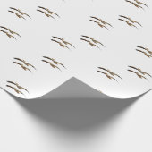 Papier Cadeau Pélican volant 4 (Coin)
