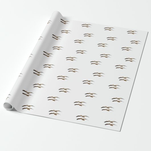 Papier Cadeau Pélican volant 4 (Déroulé)