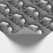 Papier Cadeau Penguin Colour Splash (Coin)