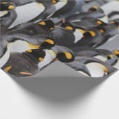 PAPIER CADEAU PENGUINS (Coin)